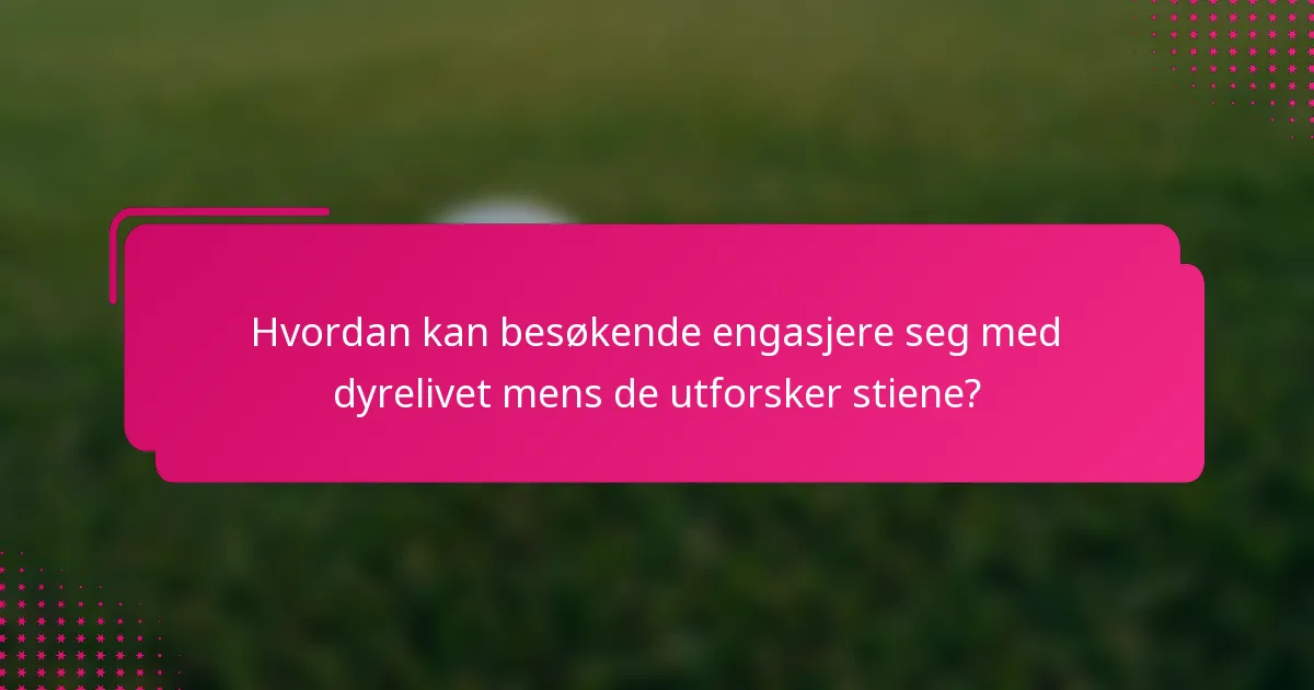 Hvordan kan besøkende engasjere seg med dyrelivet mens de utforsker stiene?